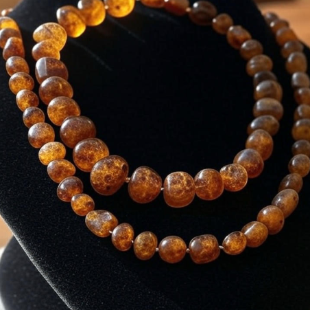 Amber: Fossilized Time, Nature's Gift