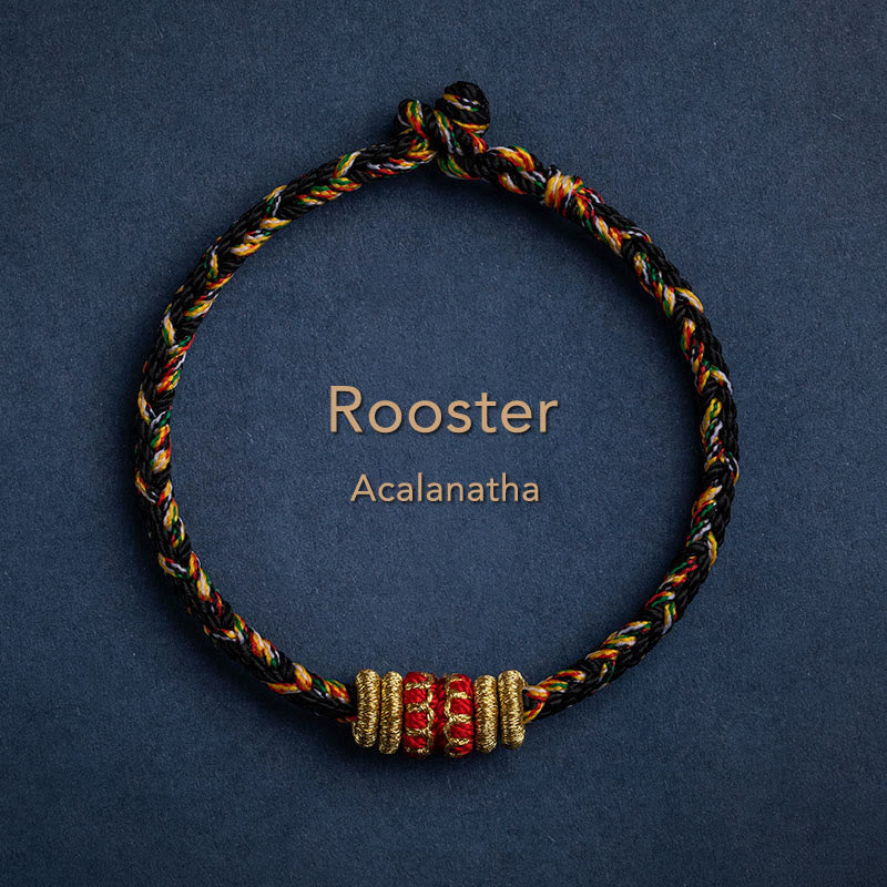 Karma Stone Tibet Handmade Chinese Zodiac Natal Buddha Luck Strength Braided String Bracelet