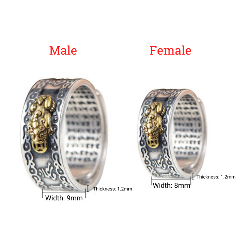 Karma Stone Feng Shui Pixiu Mantra Ring - Wealth & Protection