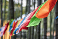 Tibetan prayer flags