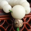 Bodhi seeds