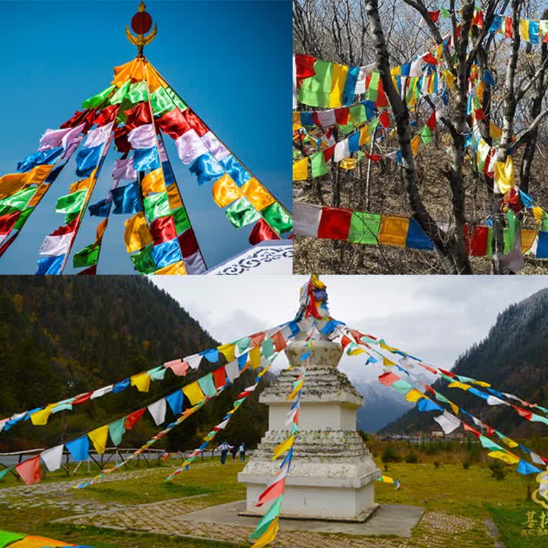 Karma Stone Tibetan 5 Colors Windhorse Blessing Outdoor 20 Pcs Prayer Flag